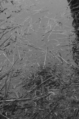 Peninah Amanda Styling