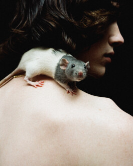 Peninah Amanda Styling